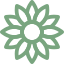 fleur