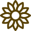 fleur